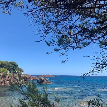 Studio Climatise Avec Piscine Saint-Raphaël エクステリア 写真
